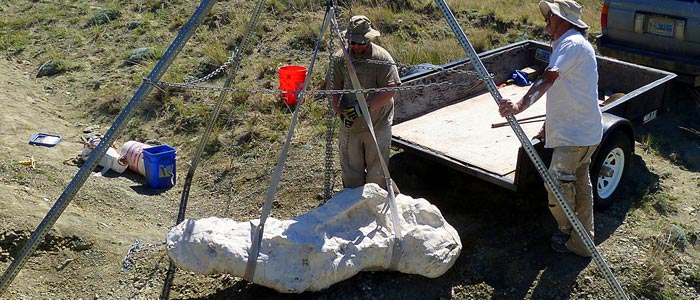 One of a group of images in the website home page top bar - a theme of photographs depicting a diverse range of people working in the field of historic preservation- architects, engineers, archaeologists and the like. Please contact us for more information.